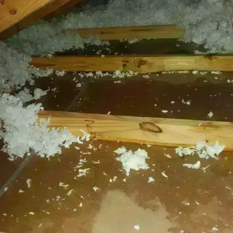 Attic Water Damage in Gallatin, MO