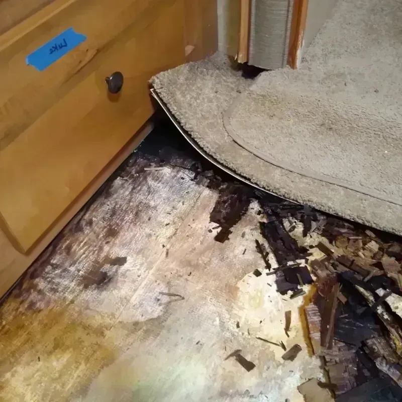 Wood Floor Water Damage in Gallatin, MO